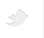 twitter bird